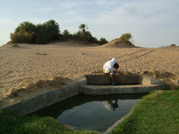 砂漠の温泉
